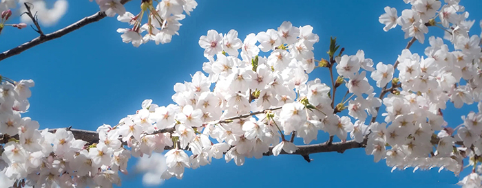 1712449798147619.jpg 6022.jpg