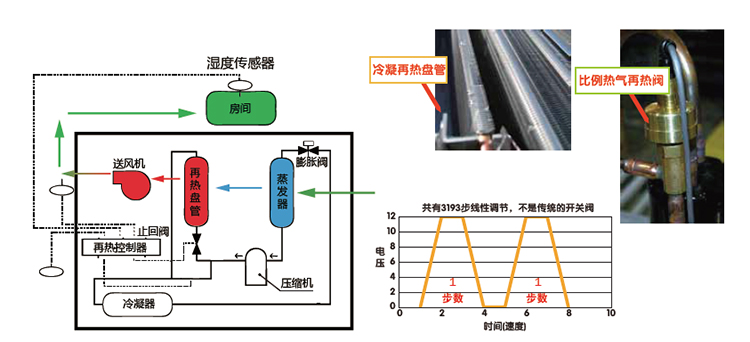 1724895160307490.jpg 303.jpg