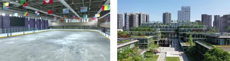 1724895206282117.jpg 305.jpg