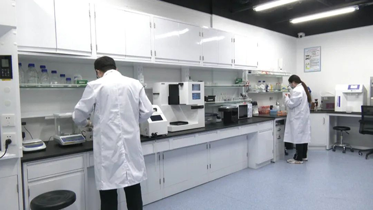 1725592604874811.jpg 3011.jpg