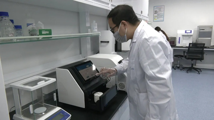 1725592753105956.jpg 3013.jpg