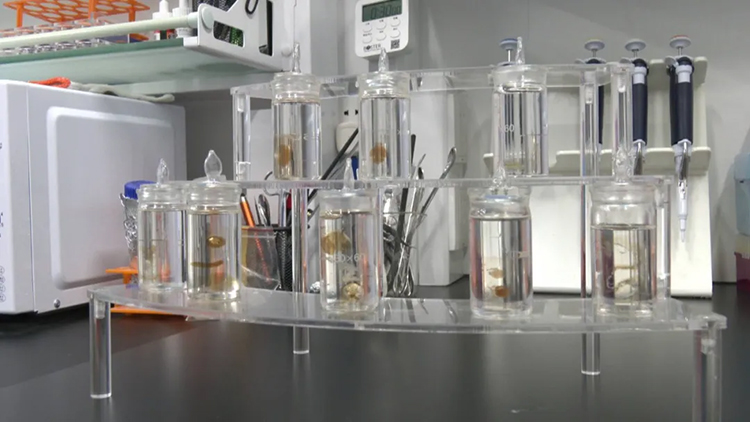 1725592781862276.jpg 3014.jpg