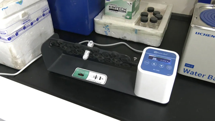 1725592821514091.jpg 30.jpg