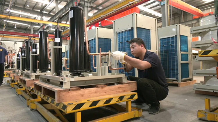 1725592855129790.jpg 3016.jpg